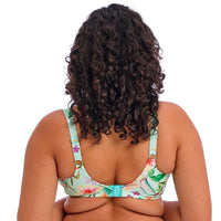 Elomi "Sunshine Cove" UW Plunge Bikini Top (E-FF)