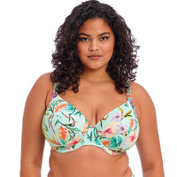 Elomi "Sunshine Cove" UW Plunge Bikini Top (E-FF)