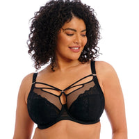 Elomi "Brianna" Black UW Plunge Bra (E-K)