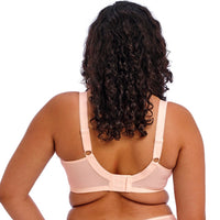 Elomi "Himari" UW Plunge Bra (E-H)