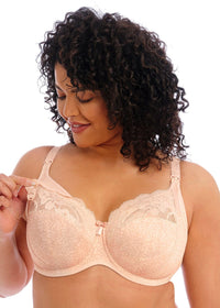 Elomi "Molly" Cameo Rose UW Nursing Bra (F-KK) - Lion's Lair Boutique - 32, 34, 36, 38, 40, 42, 44, BBY, continuity, elomi, F, FF, G, GG, H, HH, J, JJ, K, lingerie, Nursing - Elomi