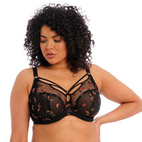 Elomi "Sachi" Black Butterfly UW Plunge Bra - Lion's Lair Boutique - 32, 34, 36, 38, 40, 42, 44, 46, BPS, BPX, DD, E, F, Fashion, FF, G, GG, H, HH, J, Jan 2023, JJ, lingerie, plunge - Elomi
