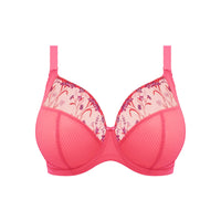 Elomi "Charley" Honeysuckle UW Plunge Bra (F-GG)