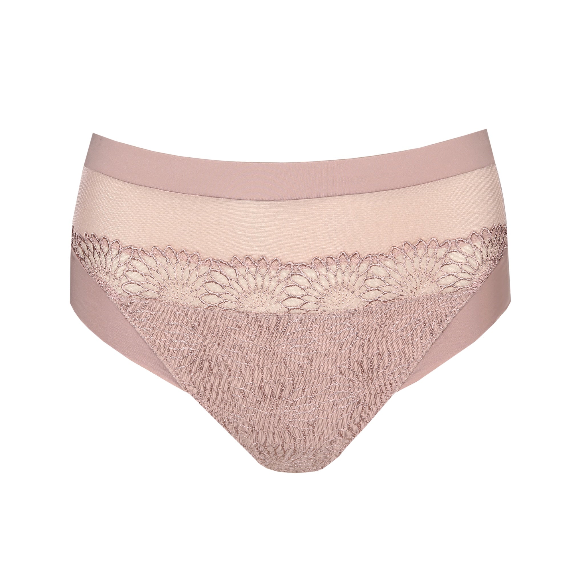 Prima Donna "Sophora" Boise De Rose  Full Brief