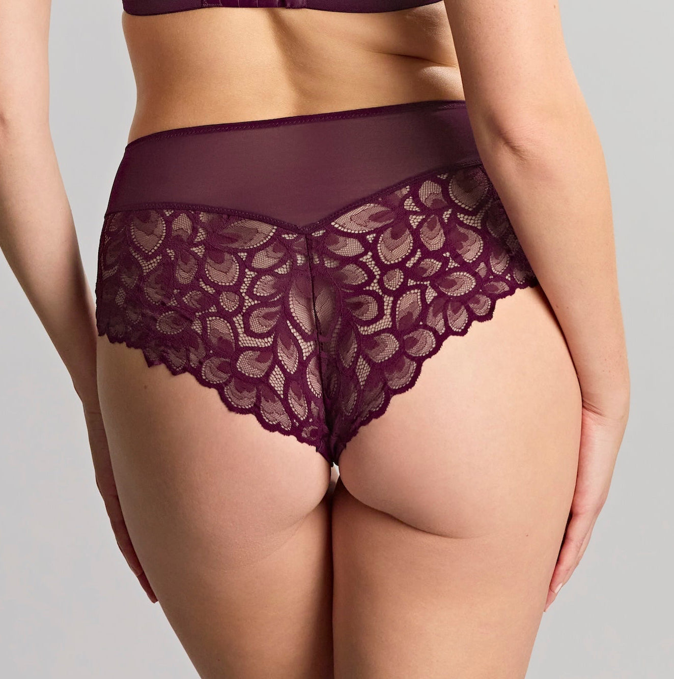Panache "Allure" Plum Deep Brief