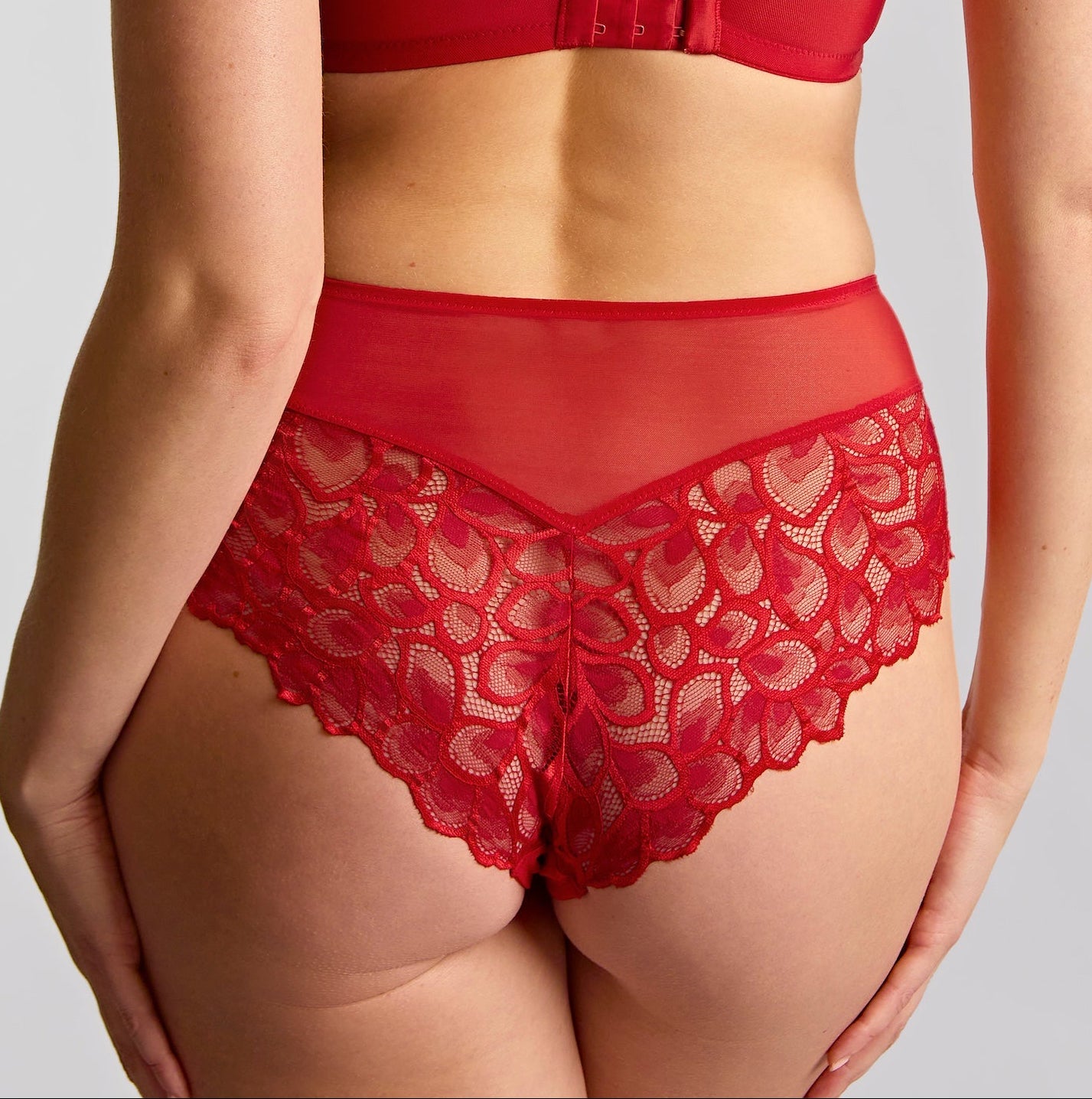 Panache "Allure" True Red Deep Brief