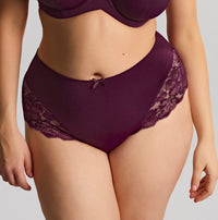 Sculptresse "Amara" Plum Deep Brief