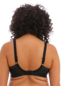 Elomi "Bijou" Black UW Moulded T-Shirt Bra - Lion's Lair Boutique