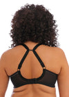 Elomi "Bijou" Black UW Moulded T-Shirt Bra - Lion's Lair Boutique