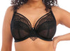 Elomi "Priya" Black UW Plunge Bra - Lion's Lair Boutique