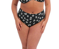 Elomi "Plain Sailing" Black Daisy Bikini Brief - Lion's Lair Boutique - 1X, 3X, 4X, 5X, Black, Bottom, continuity, elomi, HIW, L, M, Pattern, Plain Sailing, Swimwear, XL - Elomi