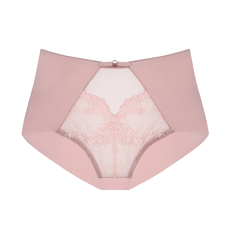 Subtille "Eir" Pink High Cut Panty - Lion's Lair Boutique - 2X, 3X, continuity, Eir, HIW, L, lingerie, M, polish, S, Subtille, XL - Subtille